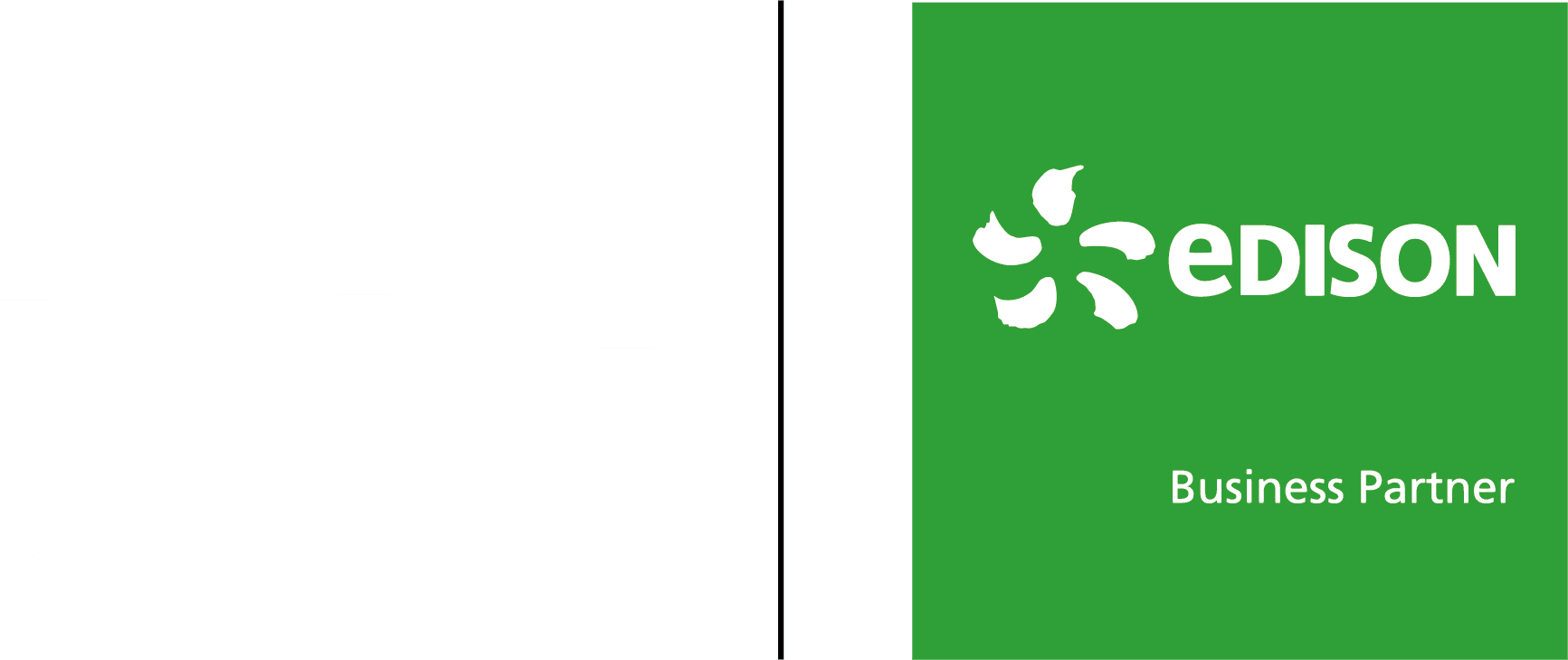 IES Innovative Energy Solutions — Edison Business Partner